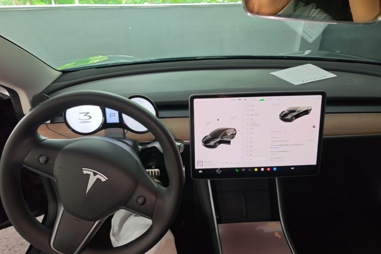Tesla Model 3 2020 #10 Tesla Model 3 2020 immagine di auto #10