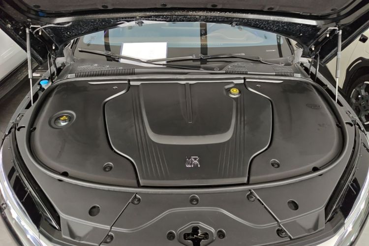 BYD Han 2021 #20 BYD Han 2021 imagen de coche #20
