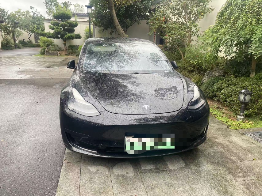 Tesla Model 3 2021 car image #2