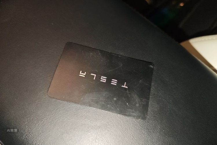 Tesla Model Y 2022 car image #10