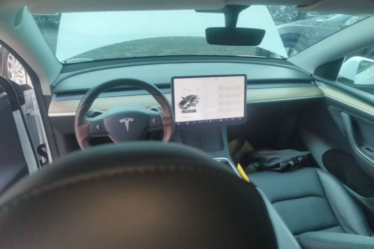 Tesla Model Y 2021 car image #10