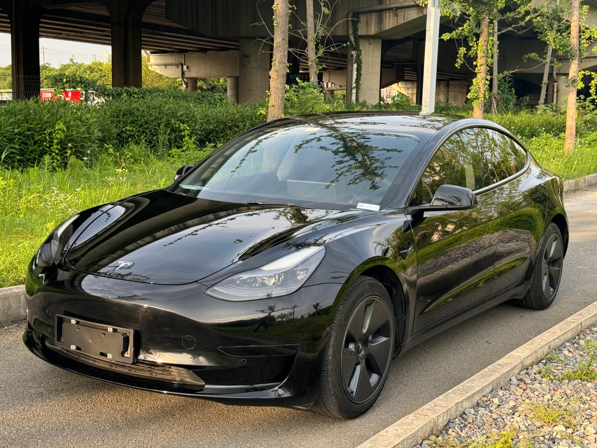 Tesla Model 3 2021 Tesla Model 3 2021 car image