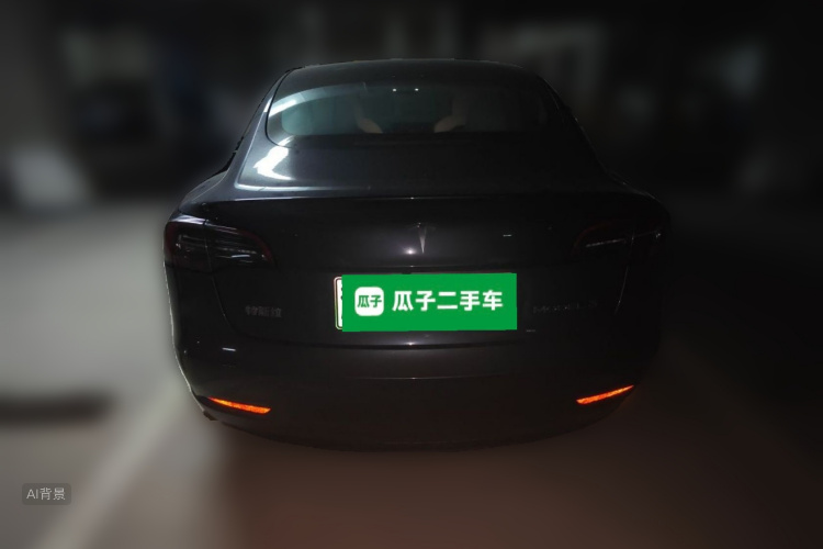 Tesla Model 3 2022 car image #6