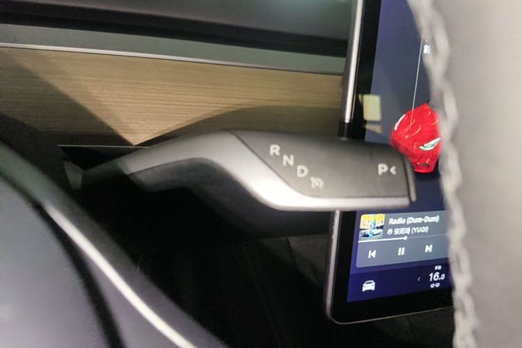 Tesla Model Y 2021 car image #14
