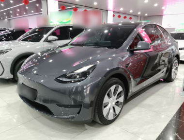 Tesla Model Y 2023 Tesla Model Y 2023 car image