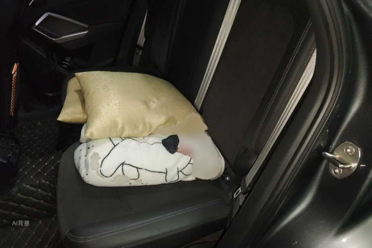 Audi Q3 2021 imagen de coche #19