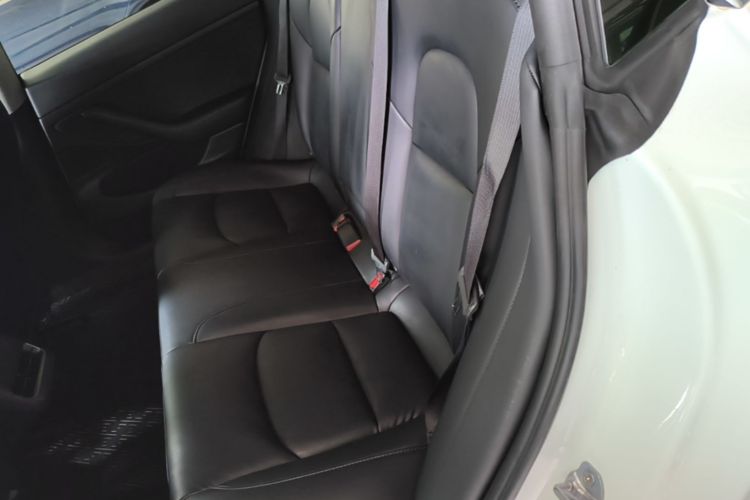 Tesla Model 3 2020 immagine di auto #13