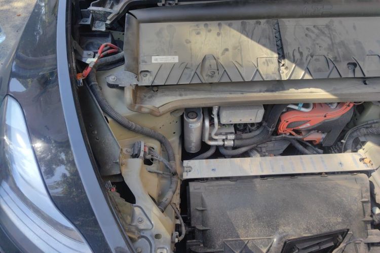Tesla Model Y 2023 car image #24