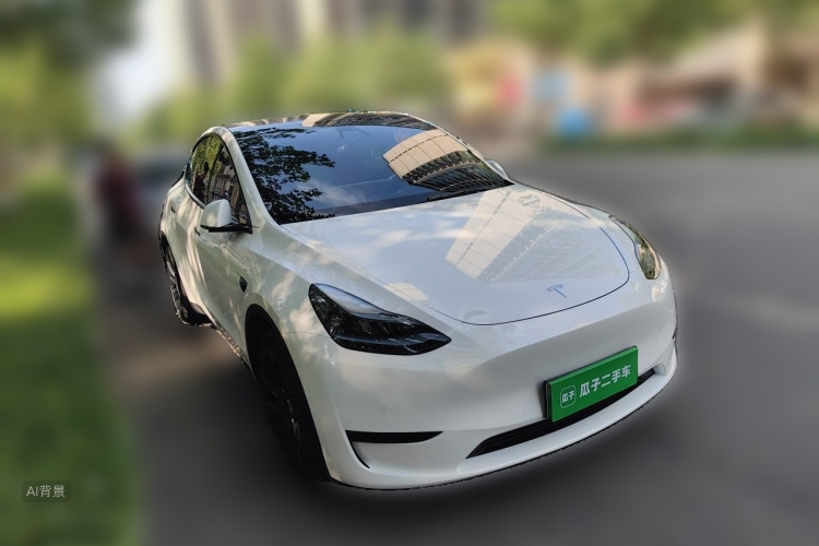 Tesla Model Y 2023 #4 Tesla Model Y 2023 car image #4