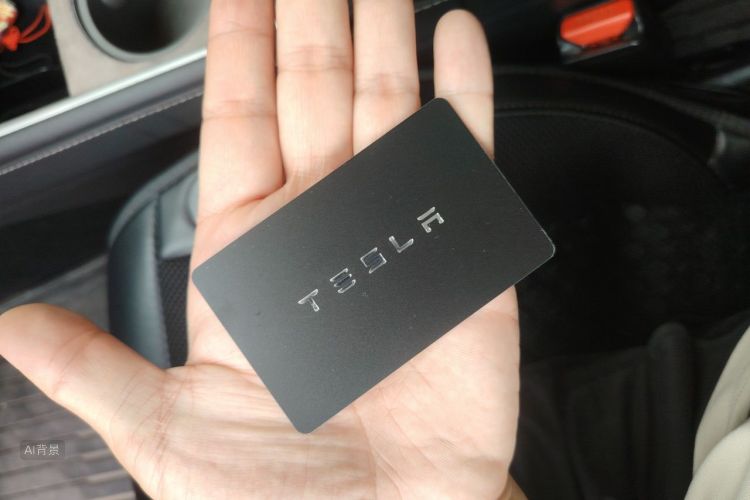 Tesla Model Y 2023 car image #10