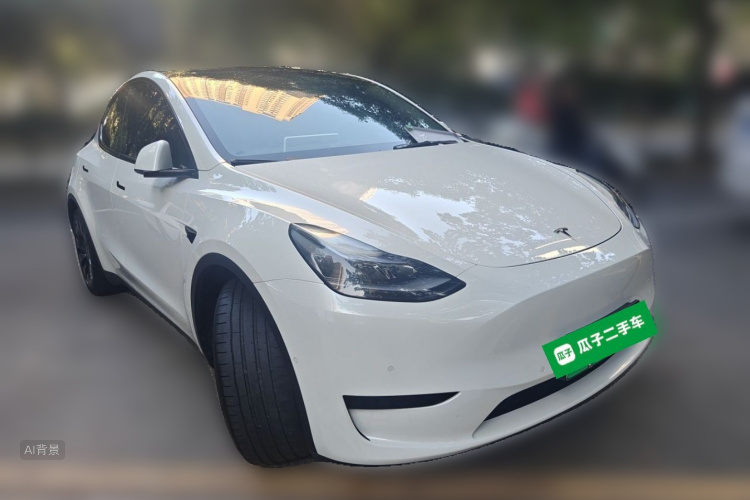 Tesla Model Y 2022 car image #4