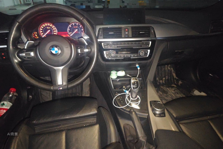 BMW 3 Series 2018 car image #11