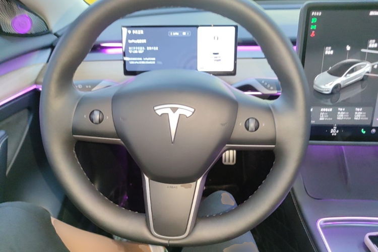 Tesla Model 3 2023 car image #11