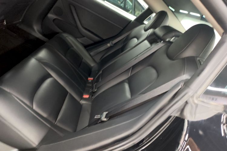 Tesla Model 3 2023 car image #13