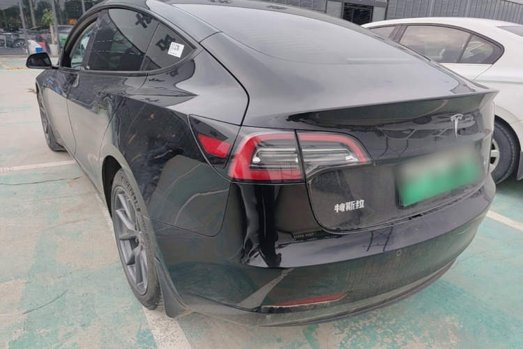 Tesla Model 3 2021 #5 Tesla Model 3 2021 car image #5