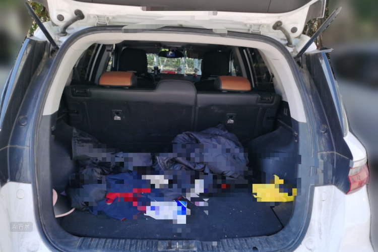 GEELY Vision X6 2020 car image #21