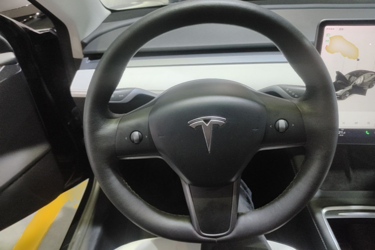 Tesla Model 3 2021 car image #11