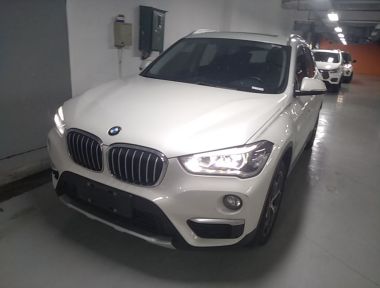 BMW X1 2019 BMW X1 2019 imagen de coche