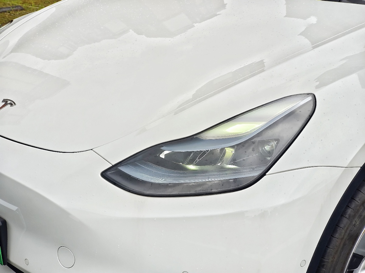 Tesla Model Y 2023 #8 Tesla Model Y 2023 car image #8