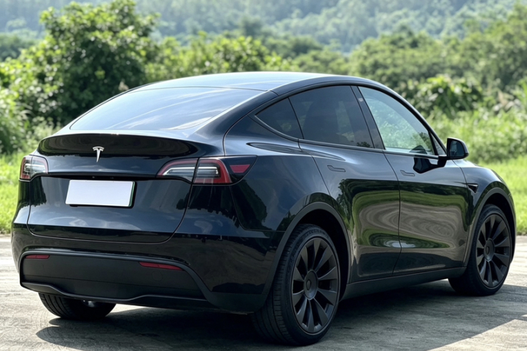 Tesla Model Y 2021 #7 Tesla Model Y 2021 car image #7