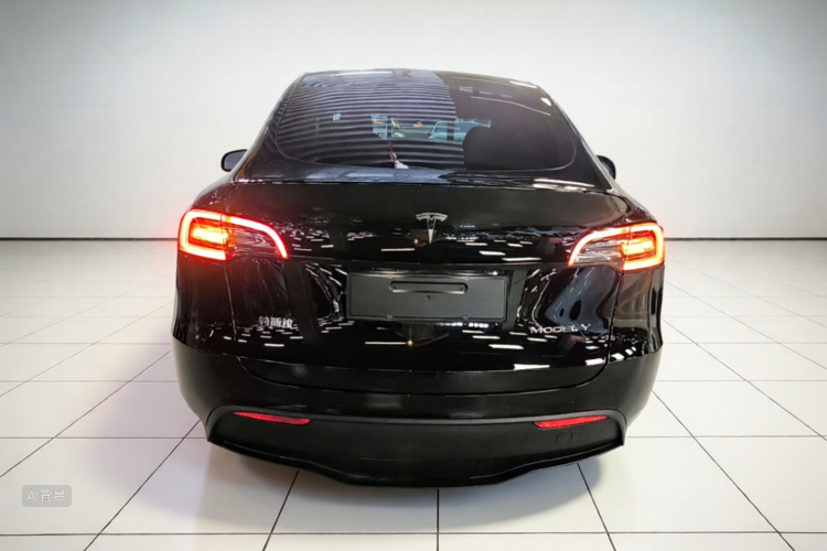 Tesla Model Y 2021 car image #4