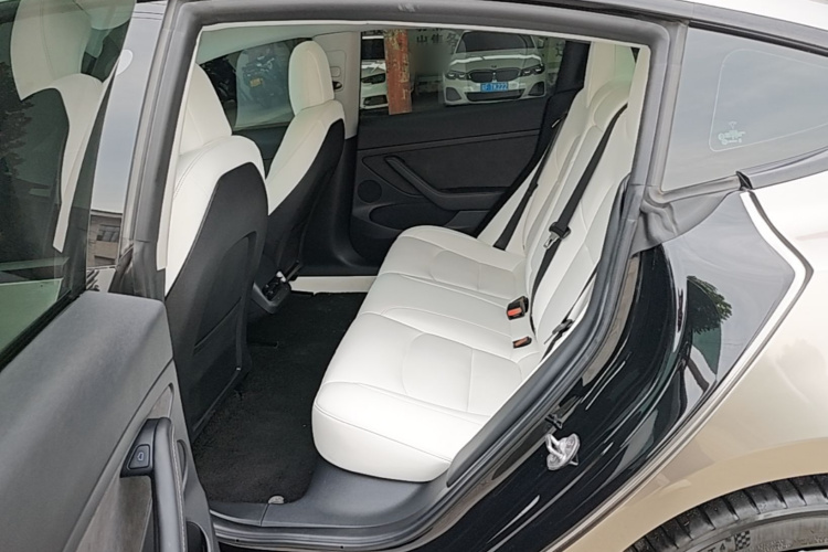 Tesla Model 3 2022 car image #17