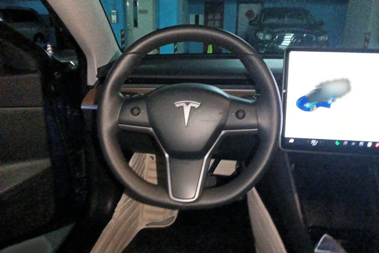 Tesla Model 3 2020 immagine di auto #15