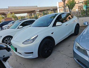 Tesla Model Y 2022 Tesla Model Y 2022 immagine di auto