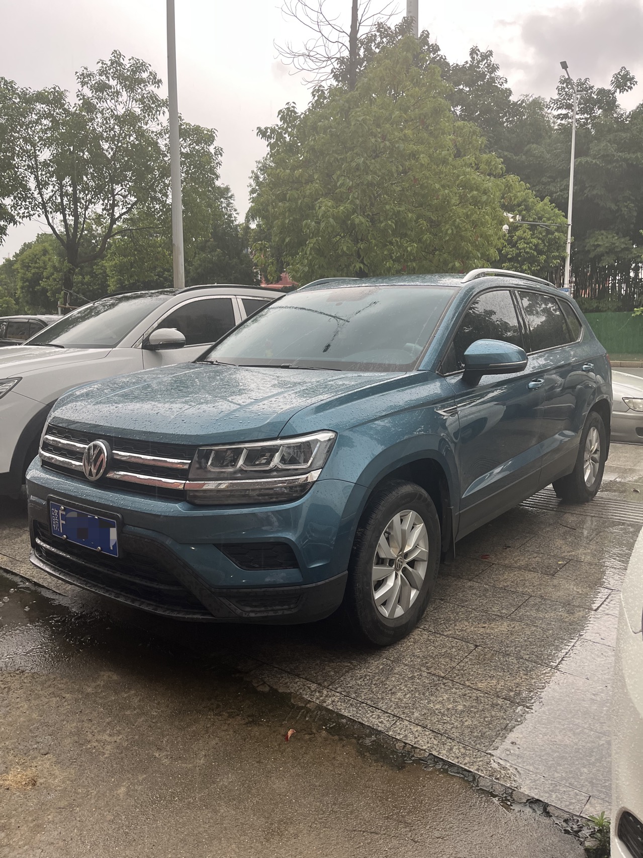 2019 2019 imagen de coche