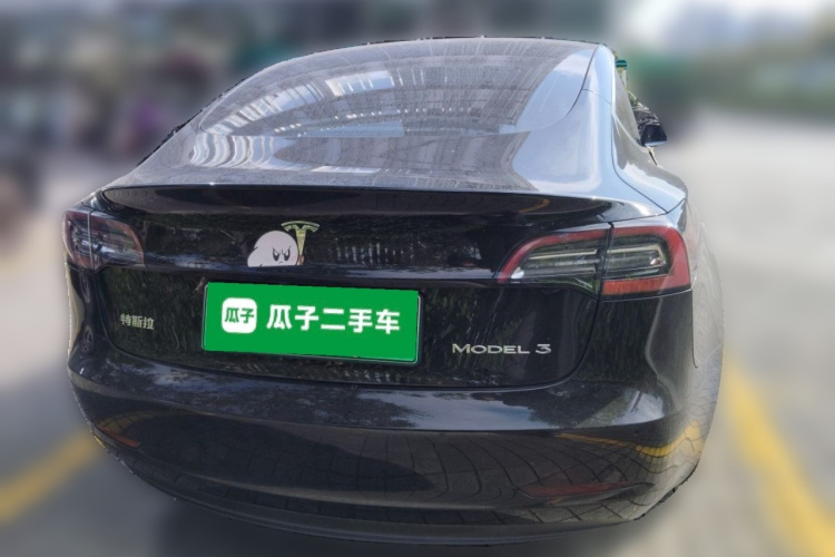 Tesla Model 3 2020 car image #4