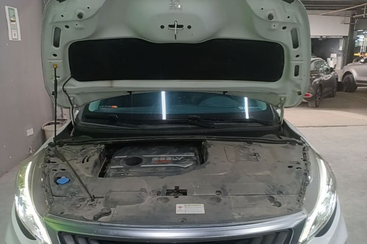 GEELY Emgrand GS 2020 car image #22