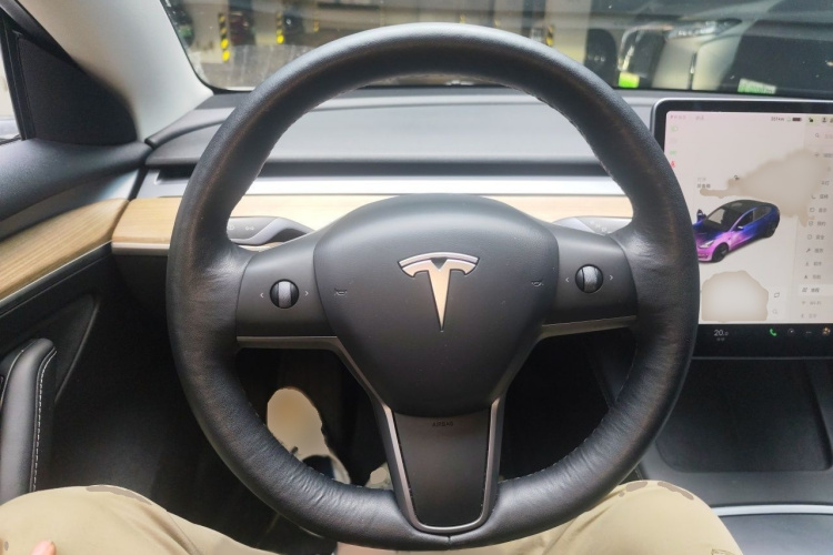 Tesla Model 3 2021 #15 Tesla Model 3 2021 car image #15