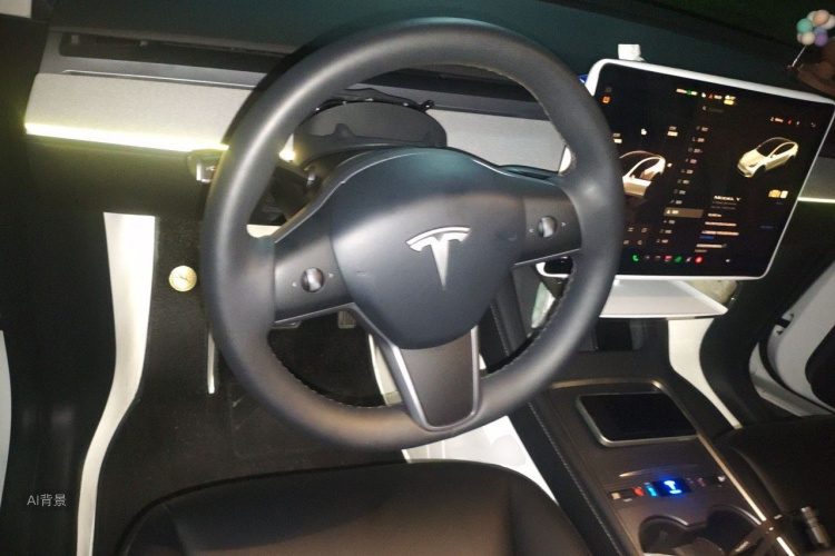 Tesla Model Y 2023 car image #12