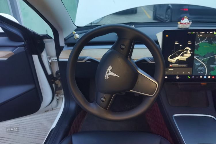 Tesla Model 3 2021 #12 Tesla Model 3 2021 car image #12