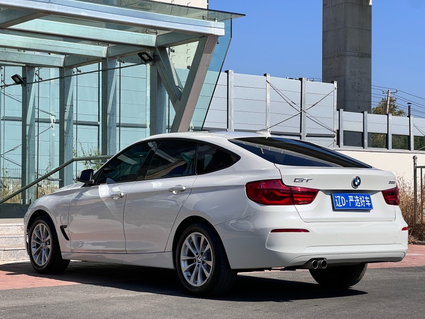 BMW 3 Series GT 2016 #6 BMW 3 Series GT 2016 car image #6