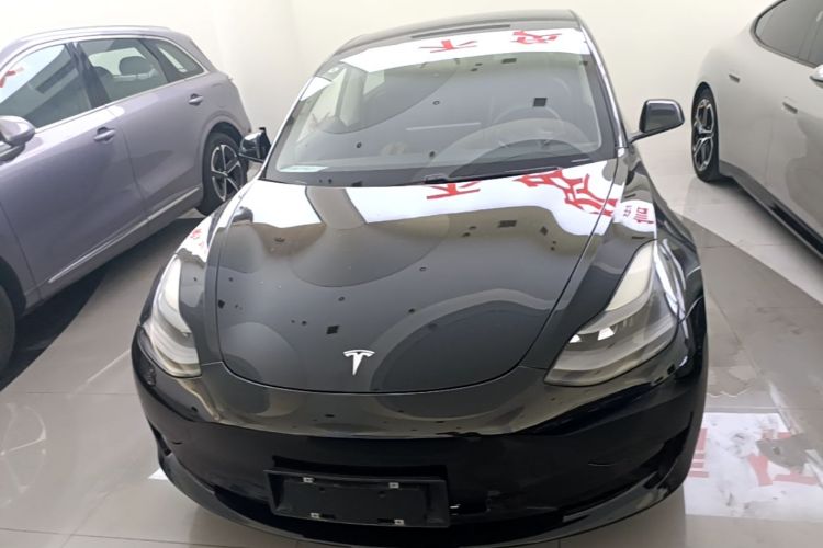 Tesla Model 3 2021 #3 Tesla Model 3 2021 car image #3