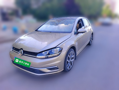 Volkswagen Golf 2019 Volkswagen Golf 2019 car image