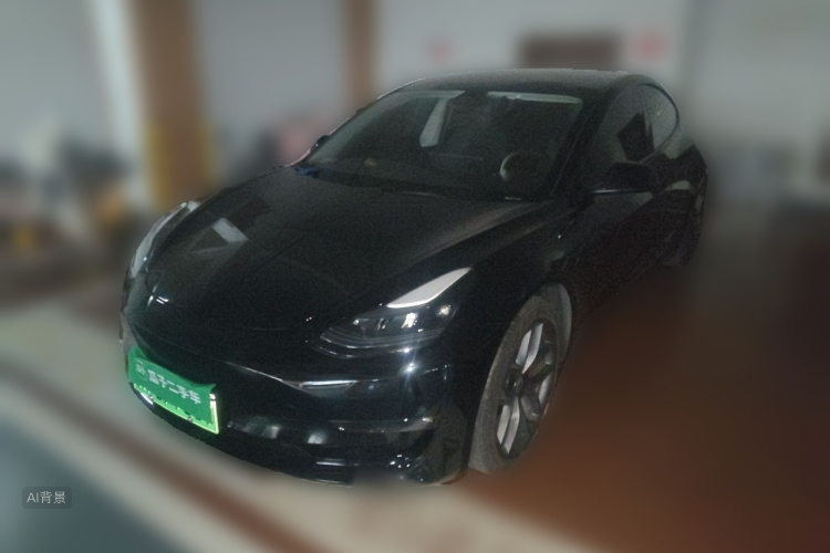 Tesla Model 3 2022 car image #2