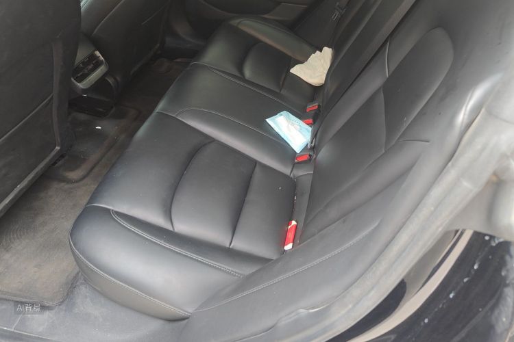 Tesla Model 3 2021 immagine di auto #19