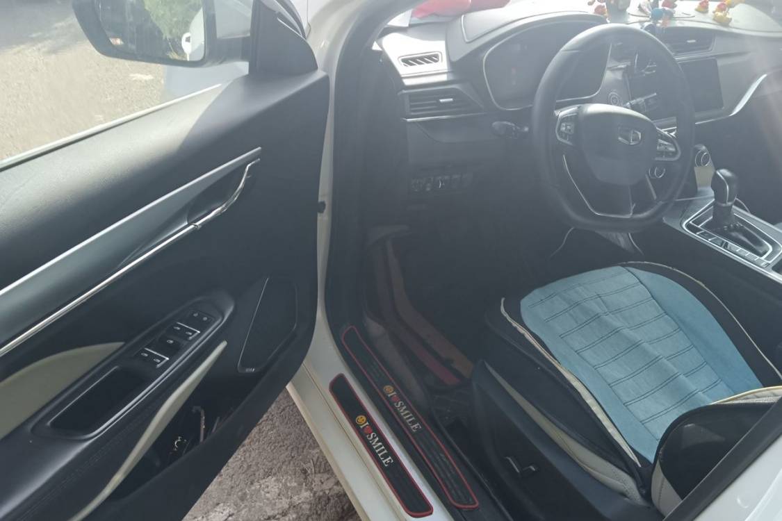 GEELY Binray 2018 imagen de coche #23