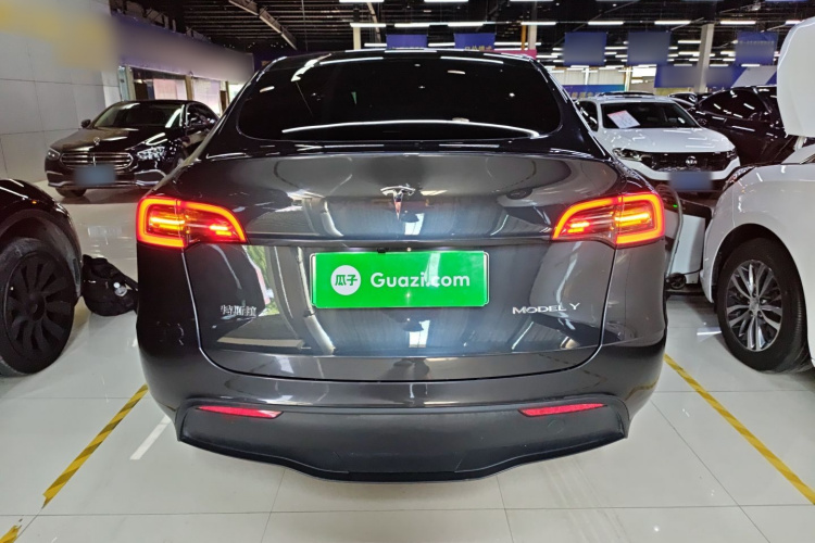 Tesla Model Y 2024 car image #6