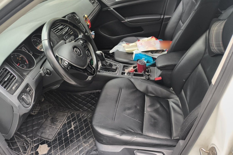 Volkswagen Golf 2017 car image #18