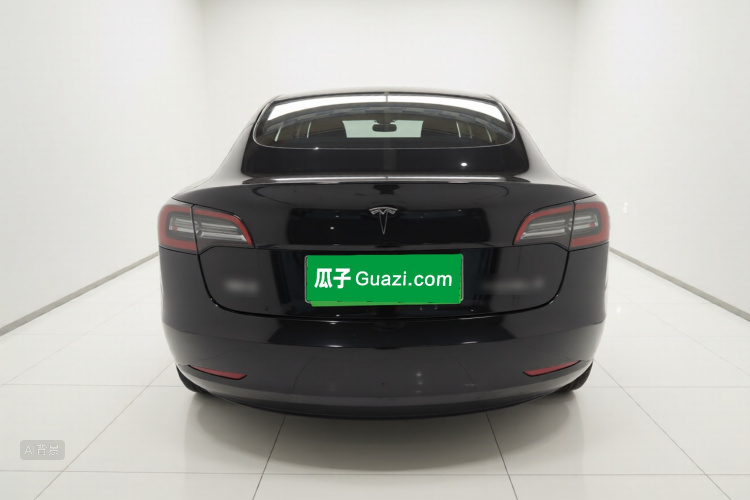 Tesla Model 3 2021 car image #6