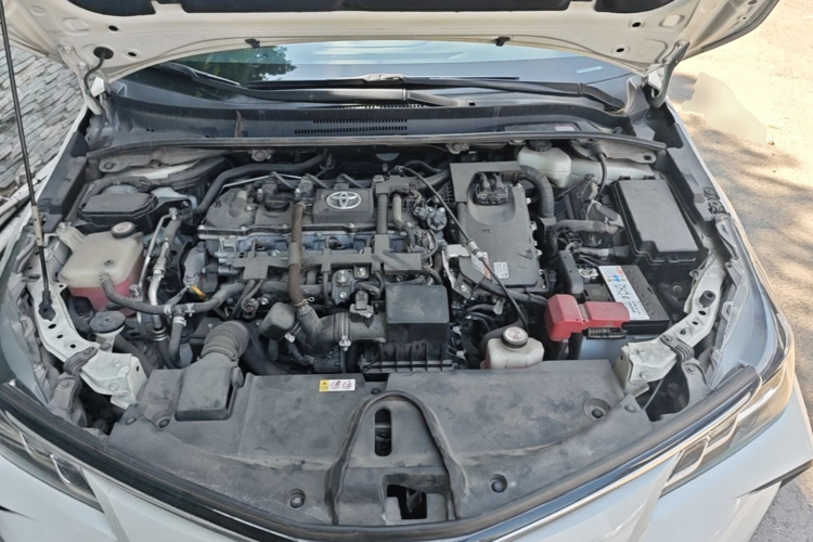 Toyota Corolla 2019 #22 Toyota Corolla 2019 car image #22