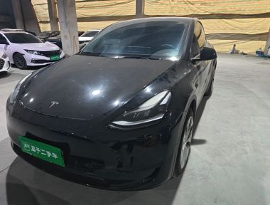 Tesla Model Y 2022 car image 