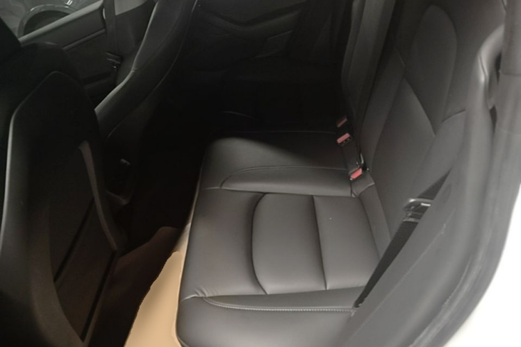 Tesla Model 3 2020 car image #10