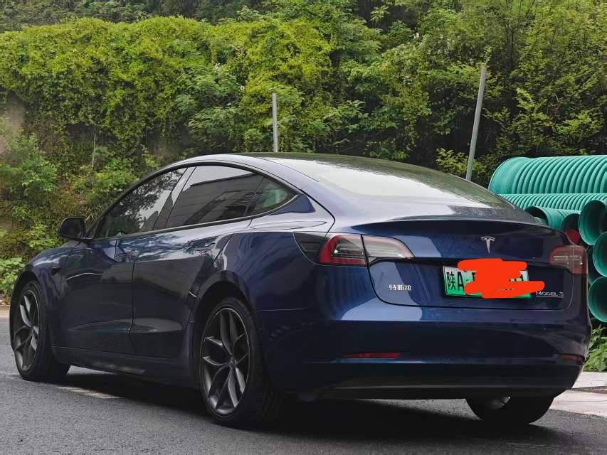 Tesla Model 3 2021 immagine di auto #4
