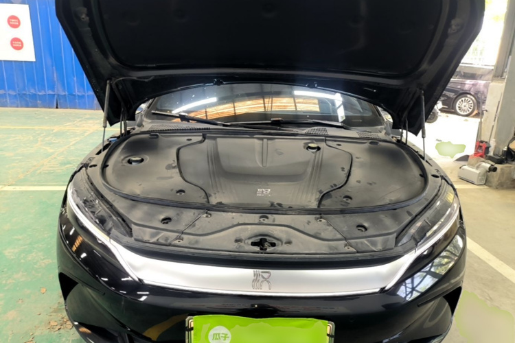 BYD Han 2024 car image #20