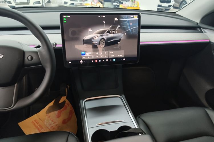 Tesla Model Y 2024 car image #13