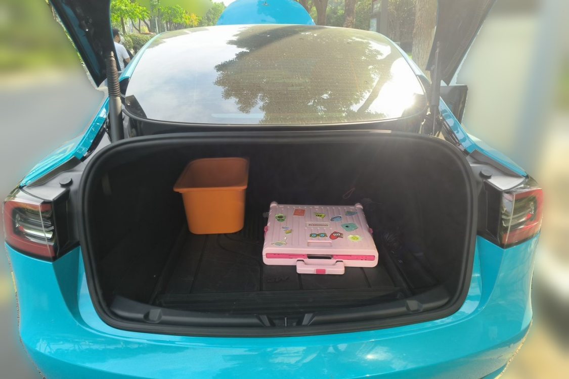 Tesla Model 3 2021 car image #8